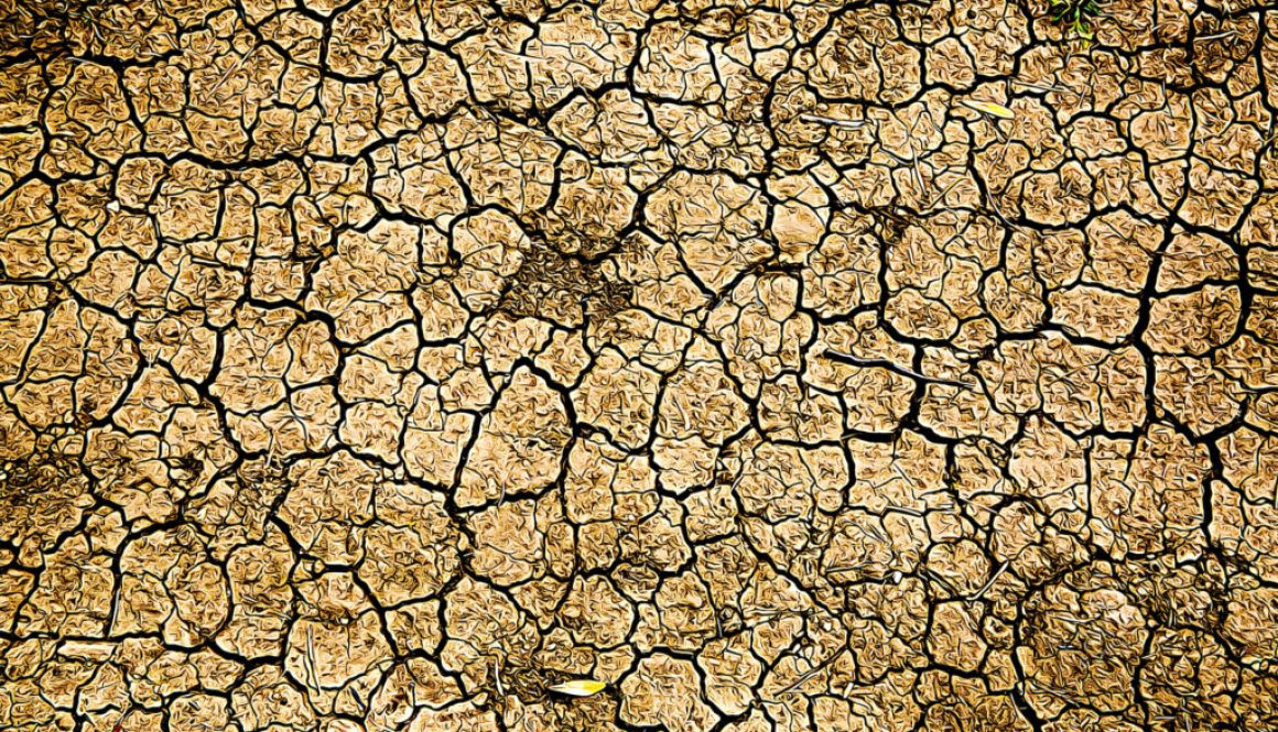 Desert