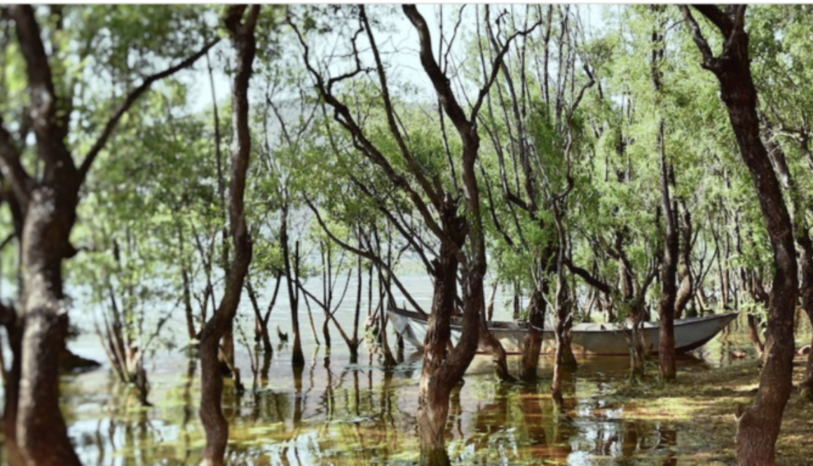 China wetlands