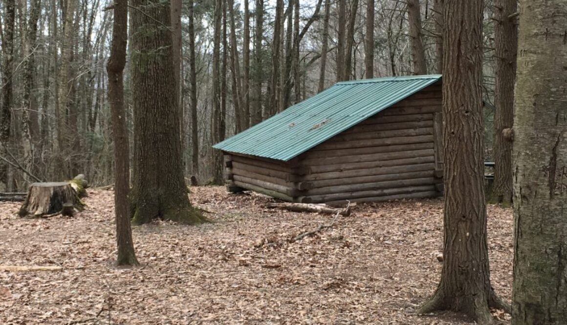 Appalachian trail photo