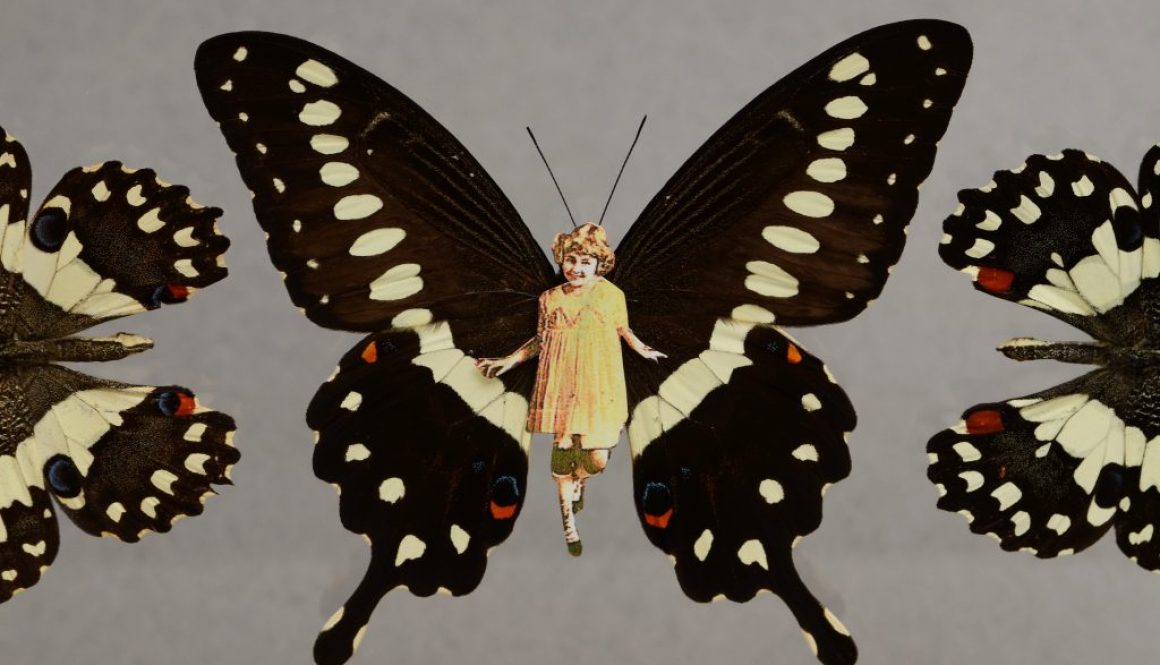 Butterflies, Henry Darger, Courtesy of Brooklyn Taxidermy/flickr