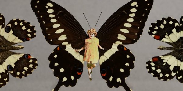 Butterflies, Henry Darger, Courtesy of Brooklyn Taxidermy/flickr